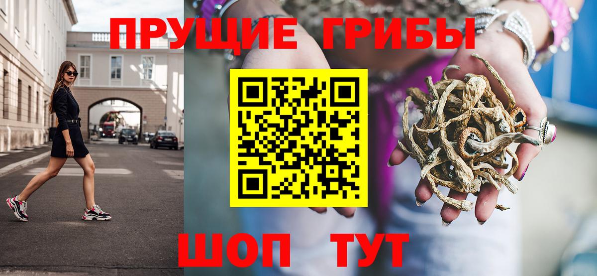 Каменка  как найти закладки  Вход с VPN  Псилоцибиновые грибы мухоморы 